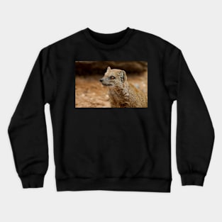 Yellow Mongoose Crewneck Sweatshirt